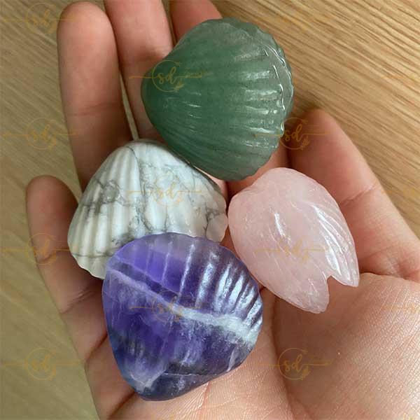 Natural Crystal Open Seashell